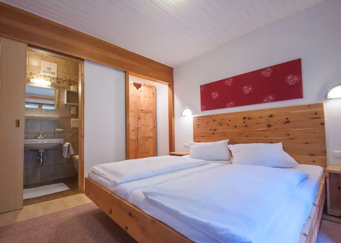 Daire Haus Kaunergrat *